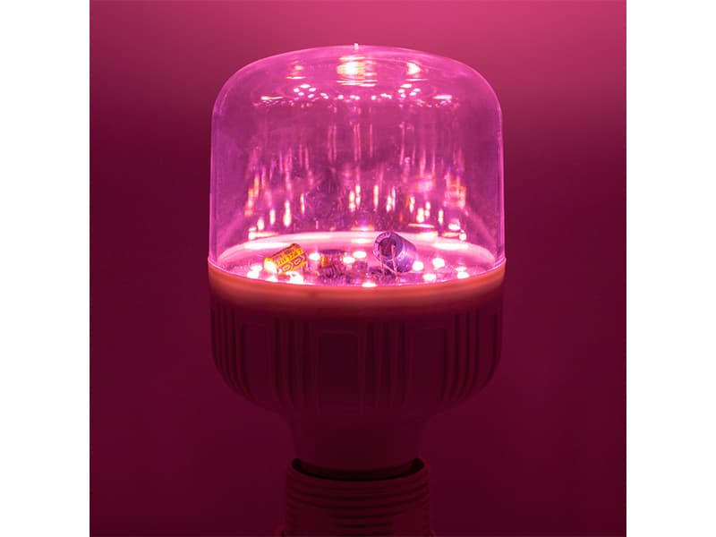 LED植物育成ランプは本当に植物の生育を促進するのか？