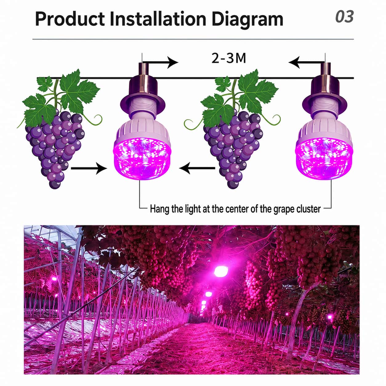 Upgraded Spectrum Grape Coloring Light