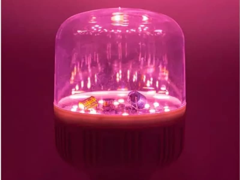 LED植物育成ランプは本当に植物の生育を促進するのか？